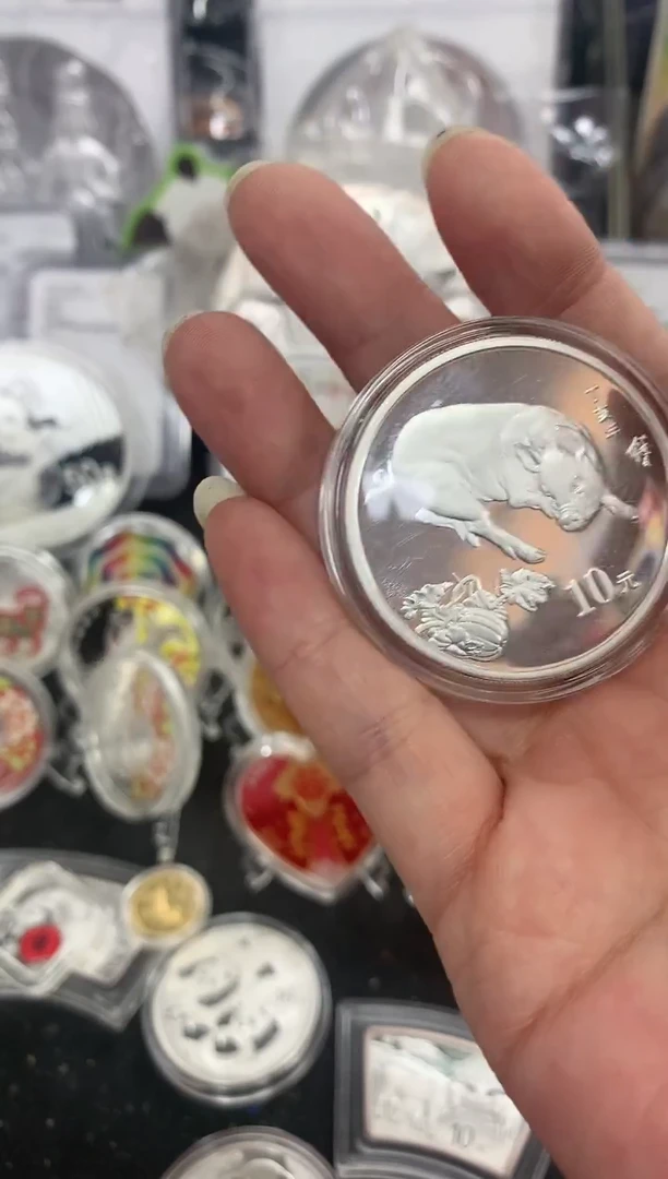 纯银2007年本银猪