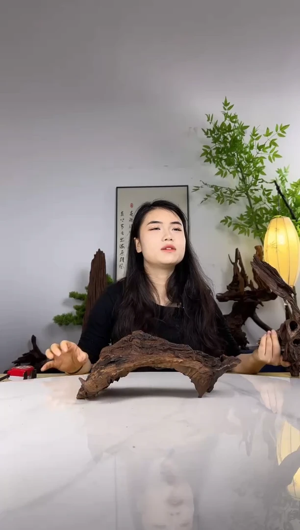 ✨**?拍沉木定向链接编号5