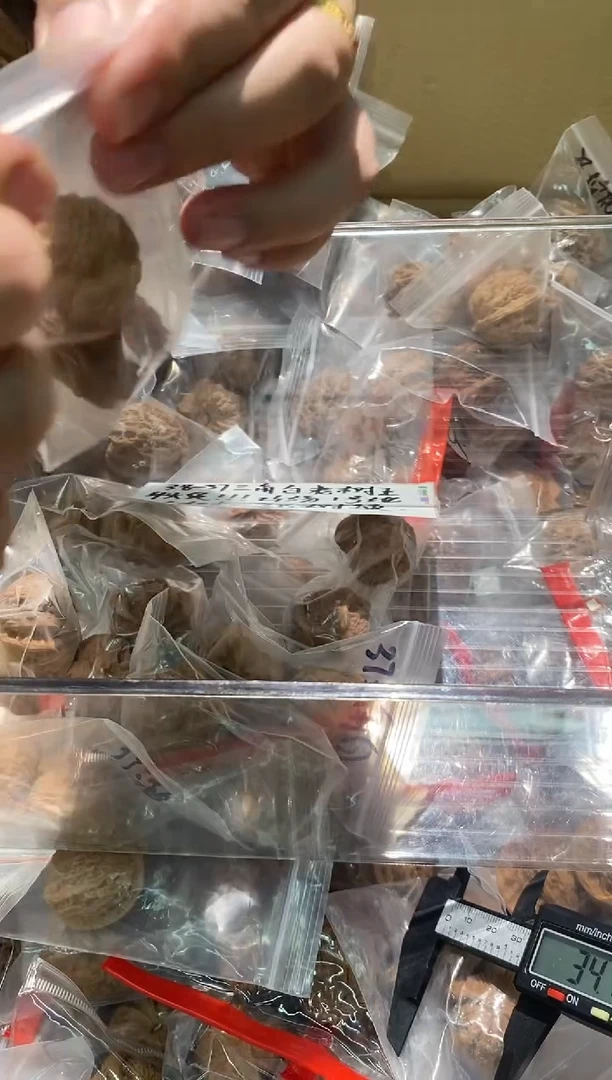 其他核桃【SSS三角白】37-38老树果王牛头货！山场1号地区001树AAA+