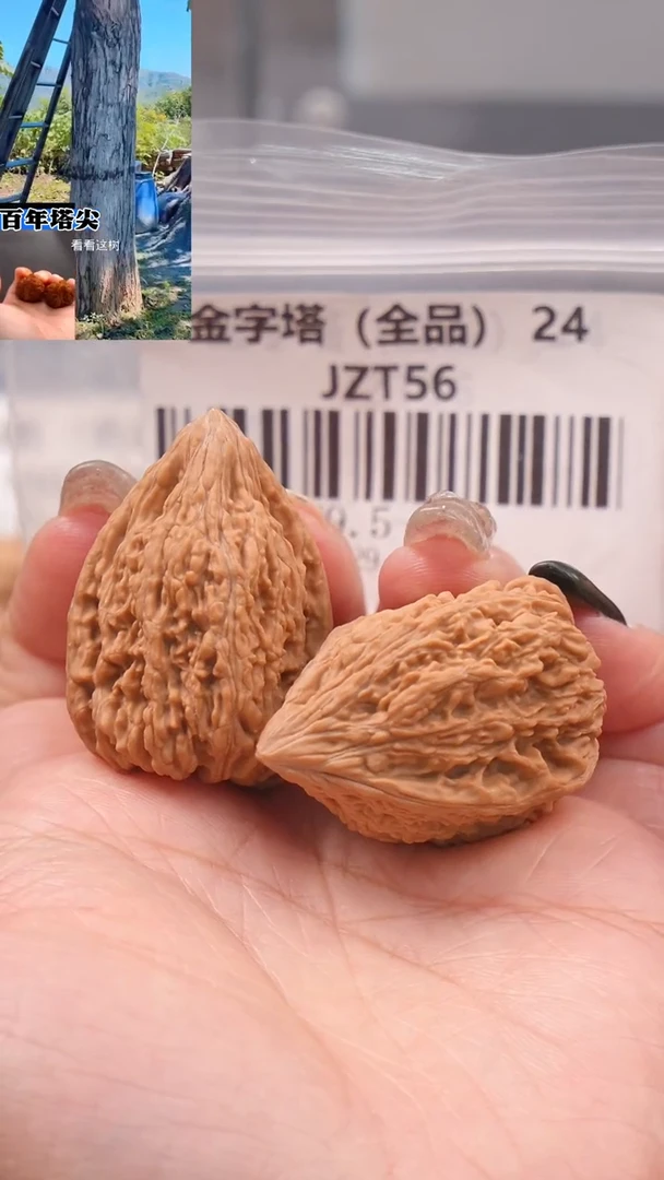 【闪购商品】文玩核桃吊坠29.5尺全品金字塔塔尖