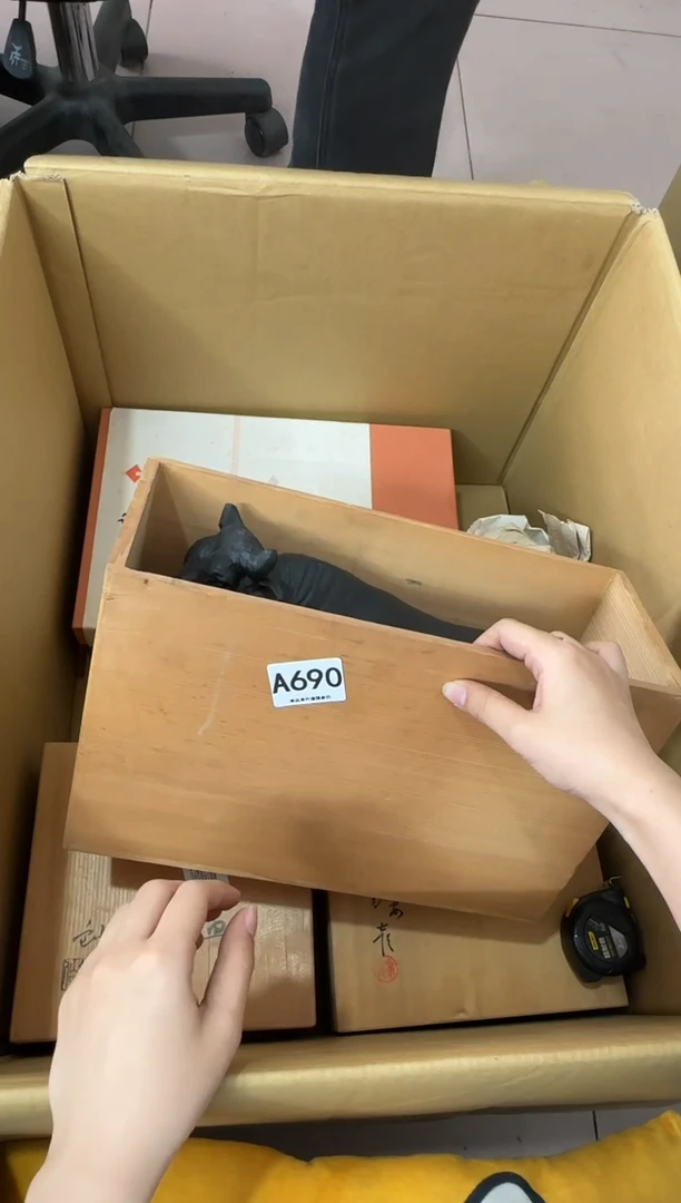 其他星**光690...中古产品谨慎参拍