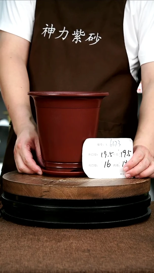 紫砂花盆花卉园艺6373+Z