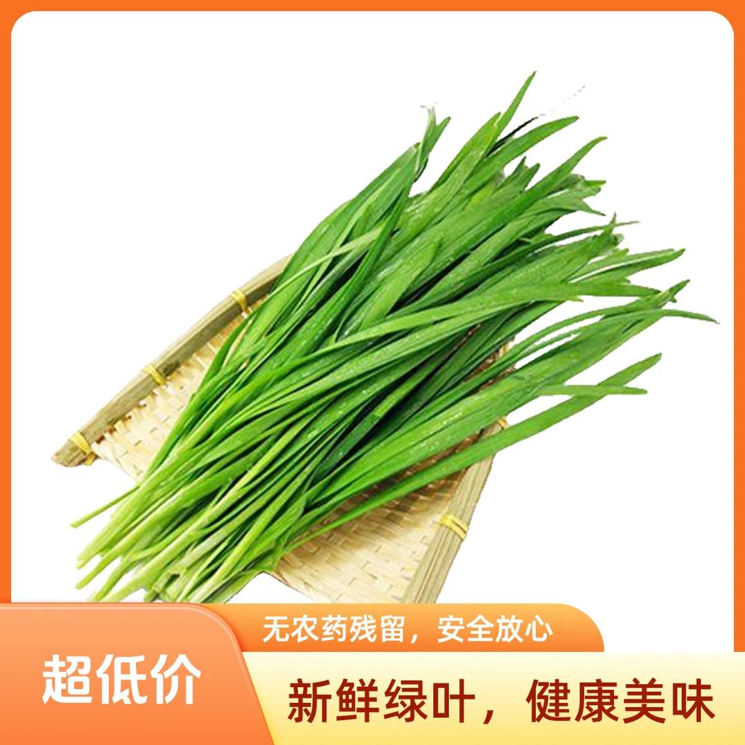 新鲜韭菜250g
