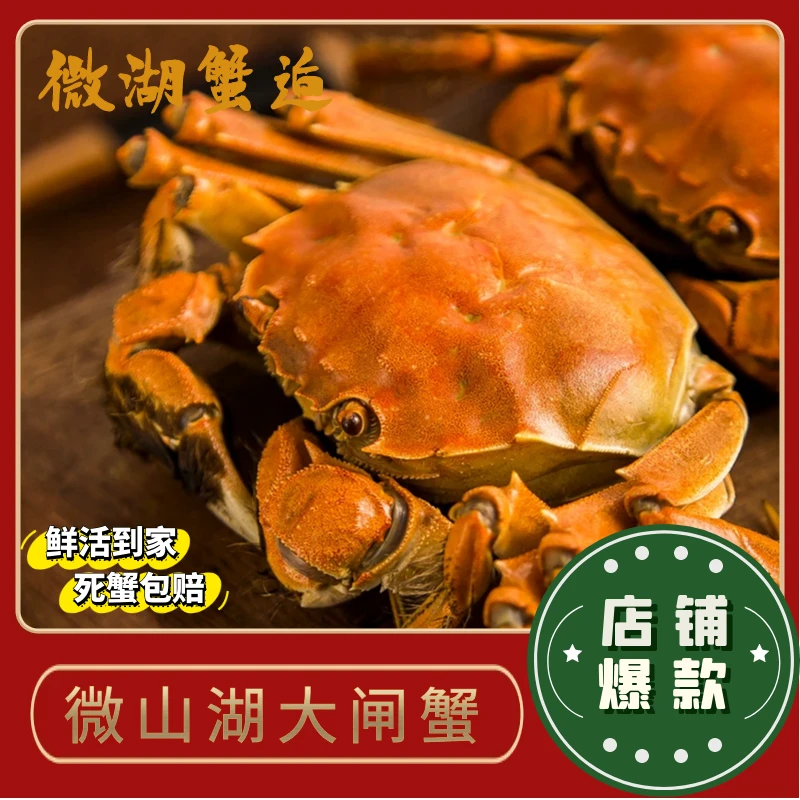 （活蟹）微山湖河蟹大闸蟹全母蟹8只装/10只装（2.0-2.2）两顺丰包邮