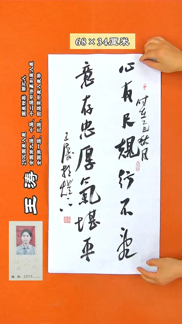 书法129D王涛书法作品