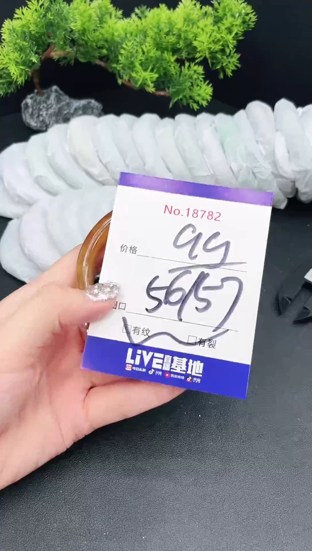 未镶嵌手镯翡翠18782