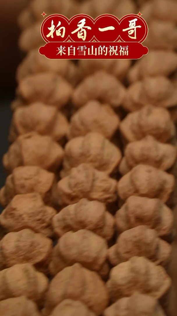 【闪购商品】柏香籽/百香籽吊坠1535