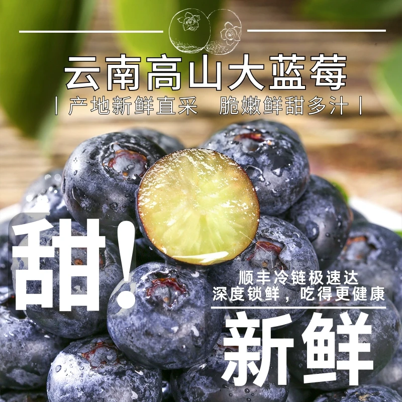 云南澄江高山蓝莓鲜果枝新鲜水果超大果当季新鲜花香果