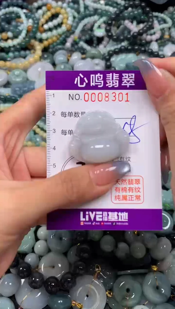 颈饰未镶嵌翡翠闪购008301