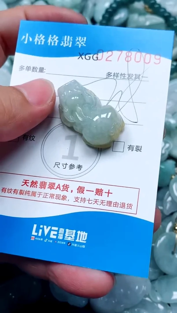 翡翠未镶嵌颈饰闪购商品0278009