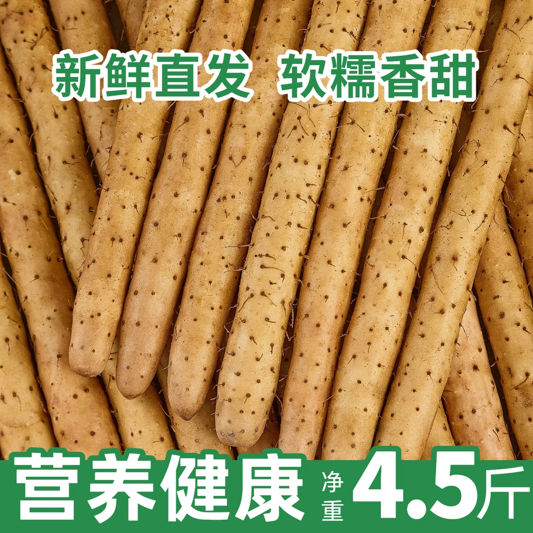 河北蠡县小白嘴铁棍山药农家新鲜蔬菜新鲜粉糯