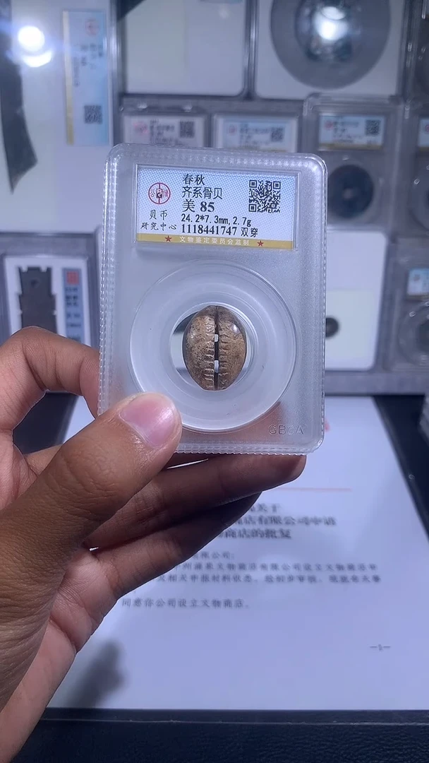 铜琪珍    骨贝骨贝一枚