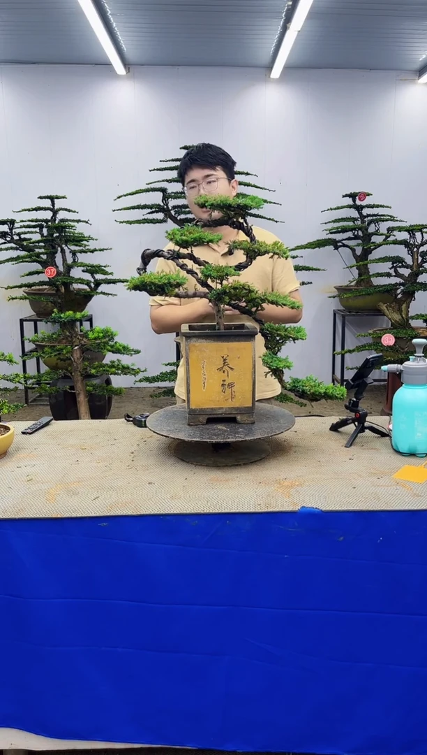 无花朵一物一拍，所见即所得