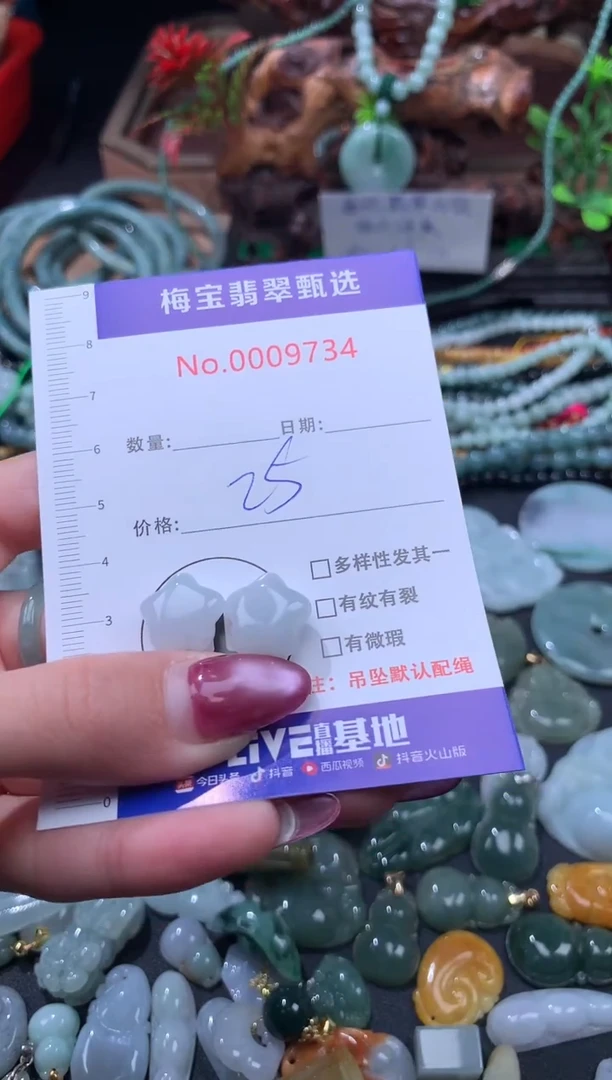 颈饰未镶嵌翡翠早25