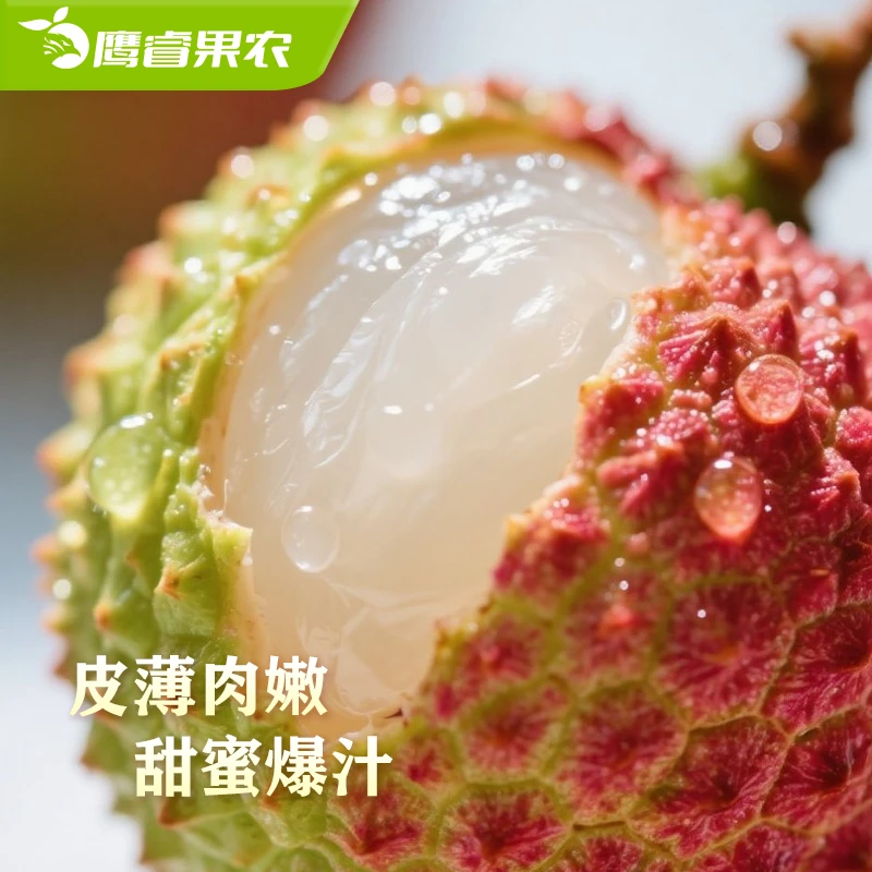 【顺丰发货】妃子笑荔枝大果新鲜水果肉厚多汁现摘现发礼盒包装