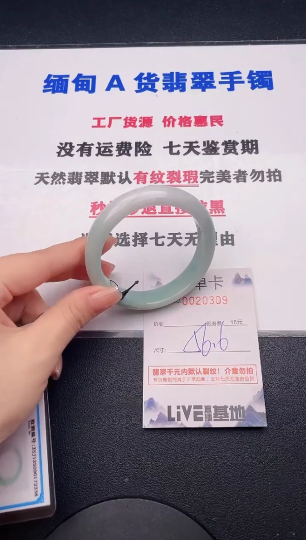 未镶嵌手镯翡翠09