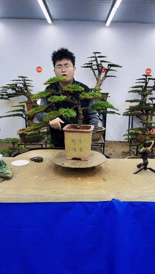 完全开放一物一拍，所见即所得