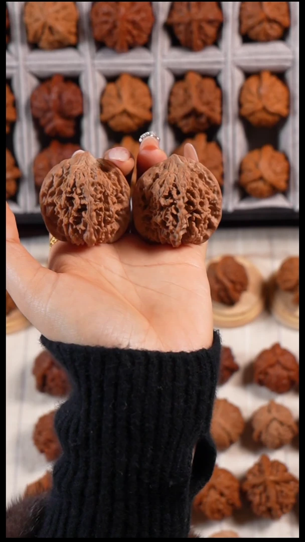 核桃满天星全品666