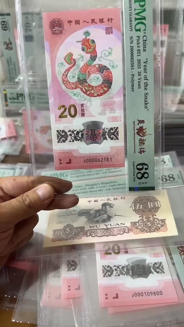 塑料000062581蛇钞单张