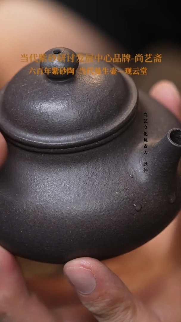 茶壶紫砂H 紫砂茶壶  容天