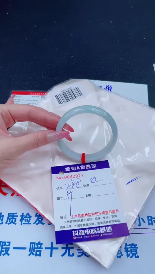 未镶嵌手镯翡翠288