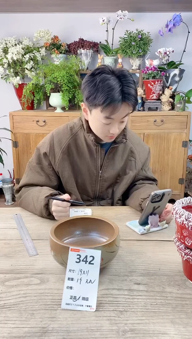 小玩子花盆直播编号342