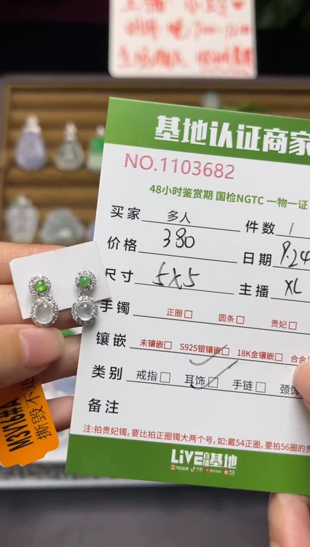 银S925镶嵌翡翠耳饰多人