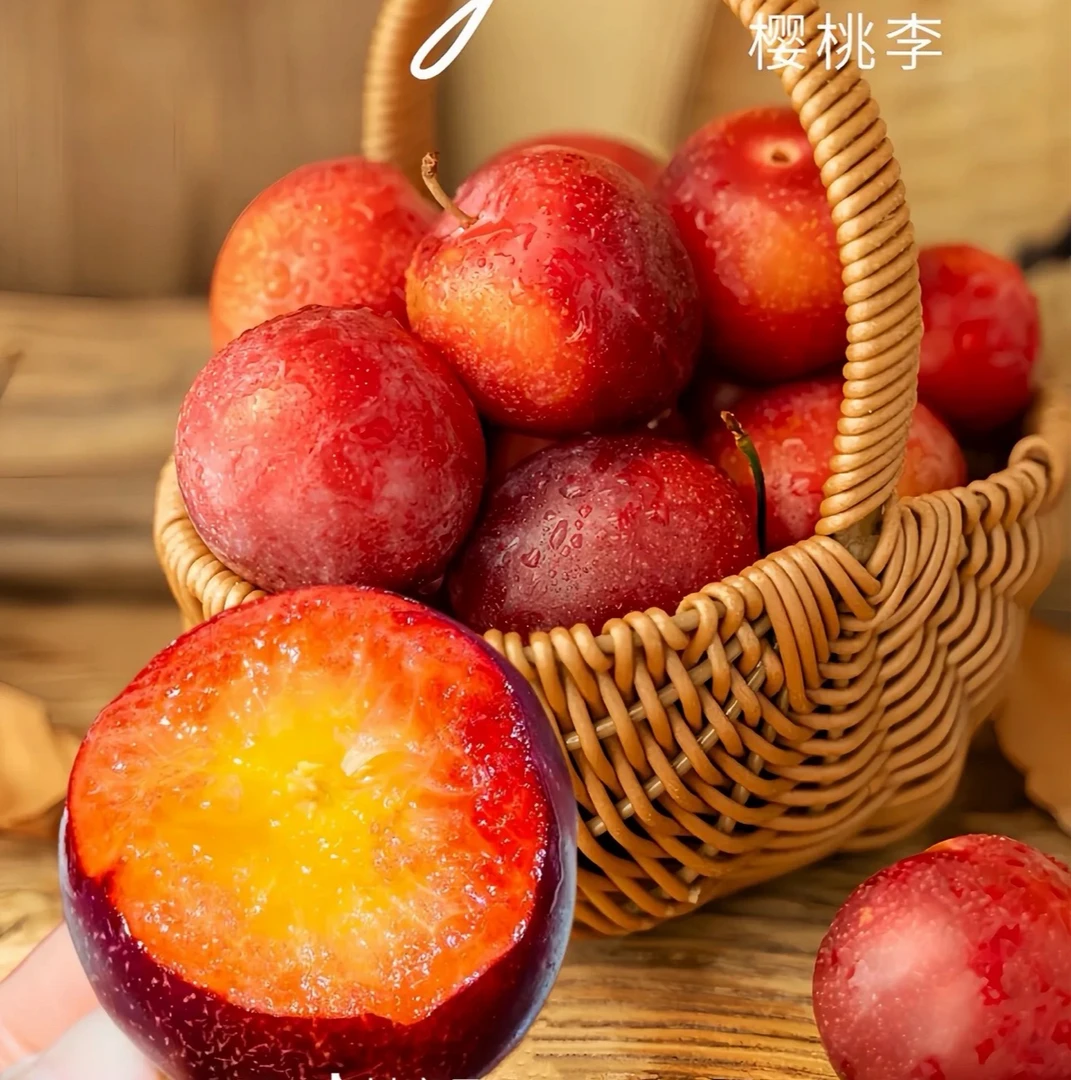 元宵节福利 智利进口樱桃李4J-5J原箱 海运樱桃里顺丰包邮