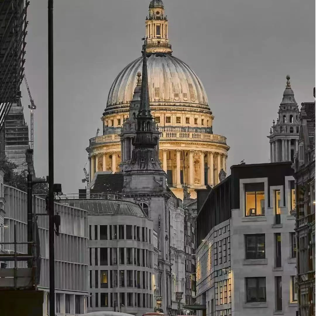 【39号链接】TT6602轻奢潮牌男士百搭短袖T恤2025夏季新款宽松上衣