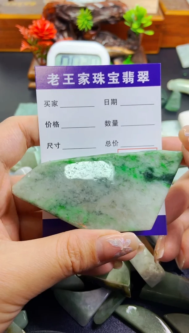 【闪购商品】翡翠颈饰未镶嵌料子