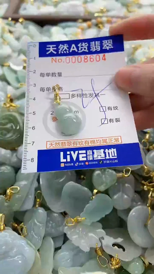 颈饰未镶嵌翡翠天然A货翡翠