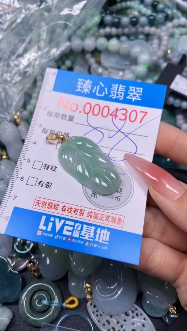 【闪购商品】翡翠颈饰未镶嵌含绳0004307