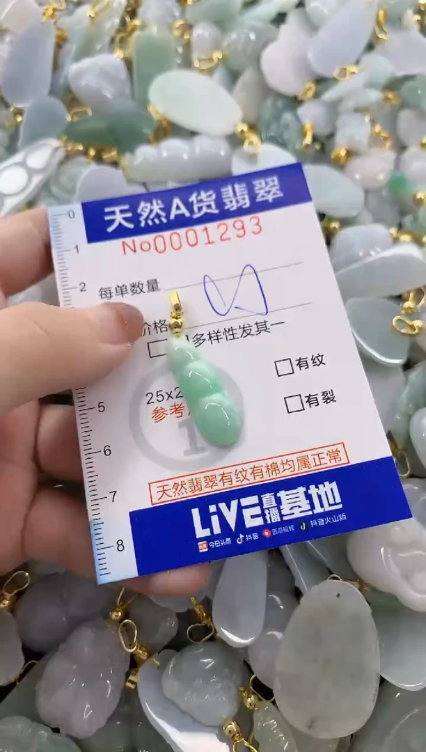 颈饰未镶嵌翡翠天然A货翡翠