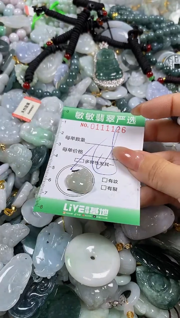 【闪购商品】翡翠颈饰未镶嵌闪购0111126多样性发其一