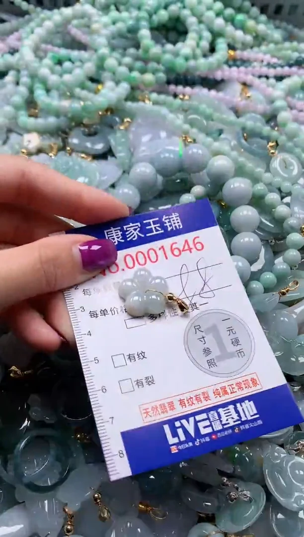 颈饰未镶嵌翡翠1646
