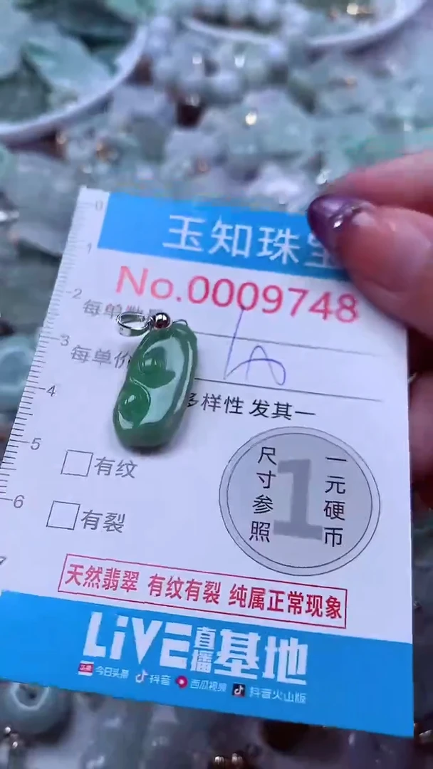 翡翠未镶嵌吊坠(不含链)9748