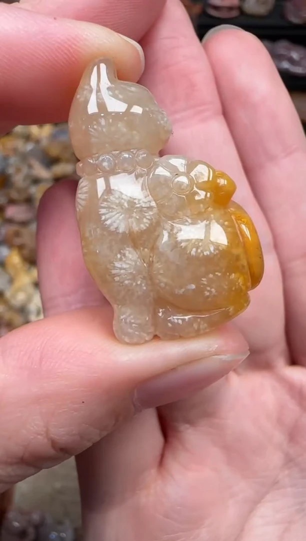 颈饰未镶嵌硅化珊瑚（珊瑚玉）345