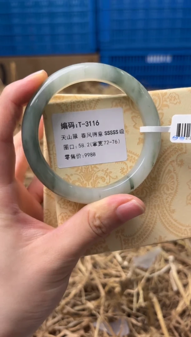 未镶嵌手镯石英质玉T-3116