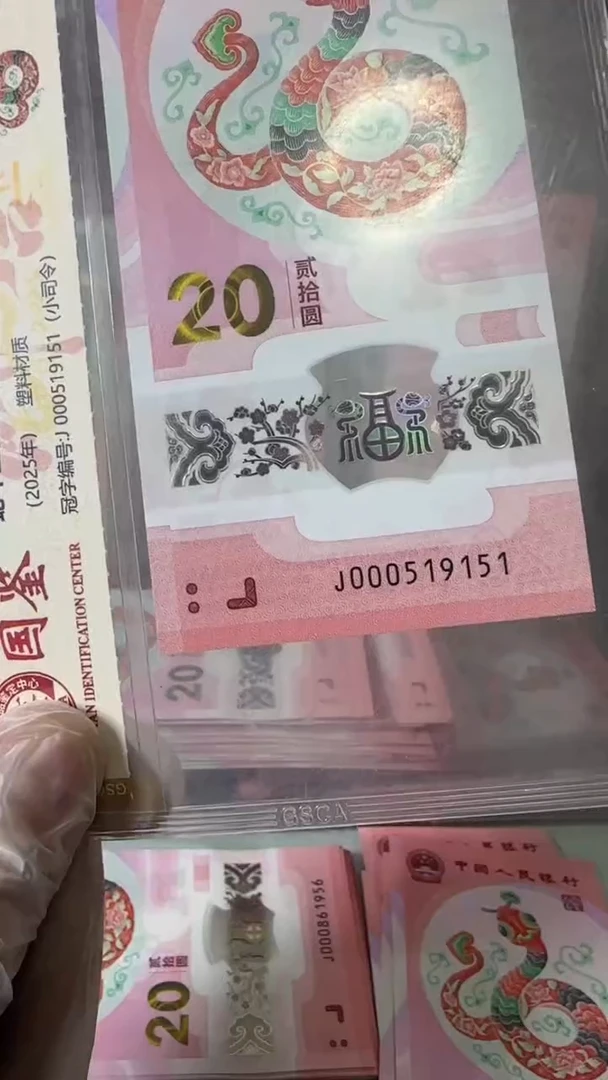 【闪购商品】塑料000519151-蛇钞单张！