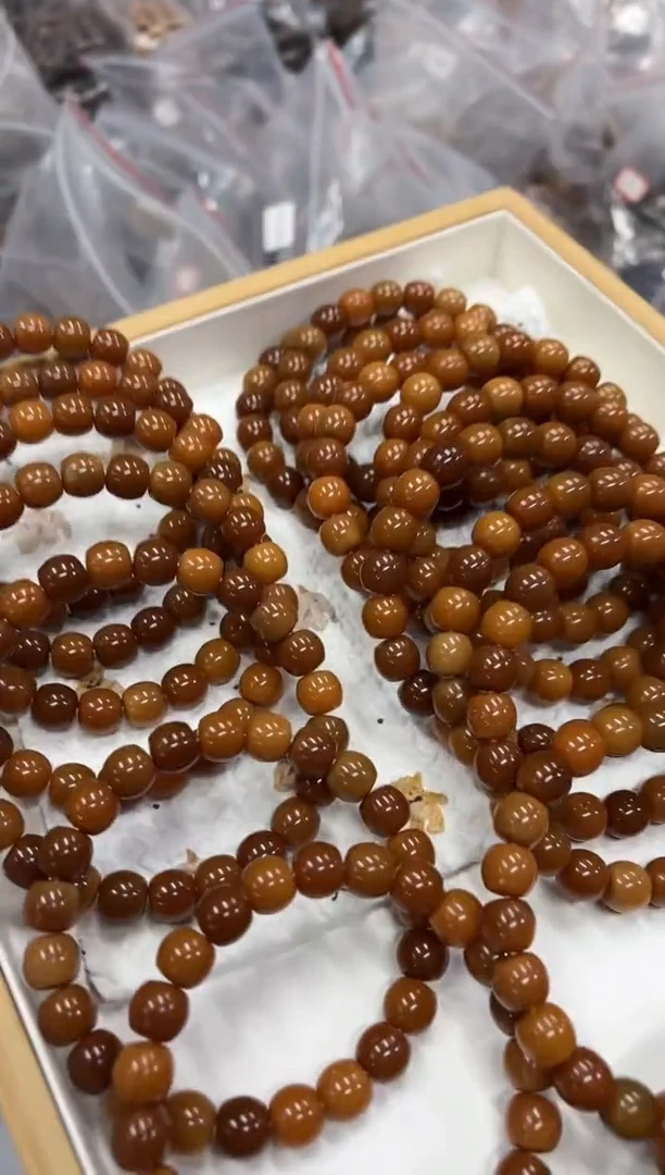 手串菩提根/象牙果10.8三高有麻子（313）