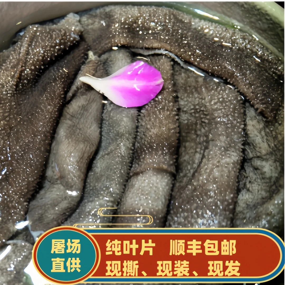 屠场鲜纯叶片鲜毛肚牛杂牛肚牛副牛百叶毛肚火锅 固形物含量95%