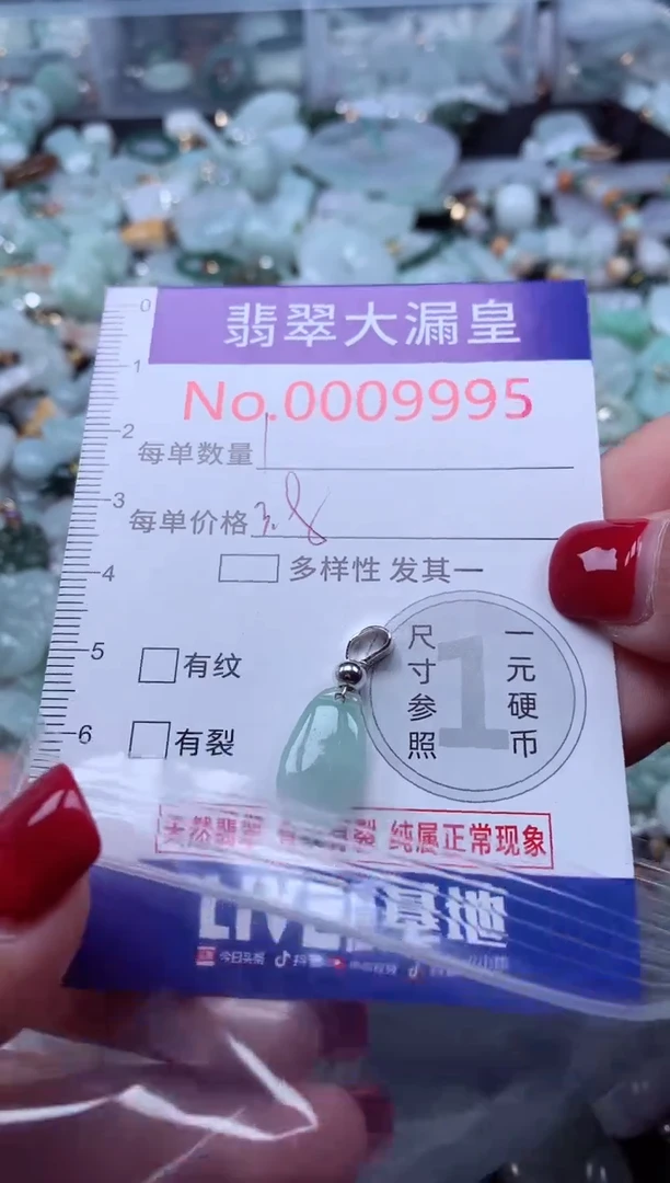 颈饰未镶嵌翡翠 9995