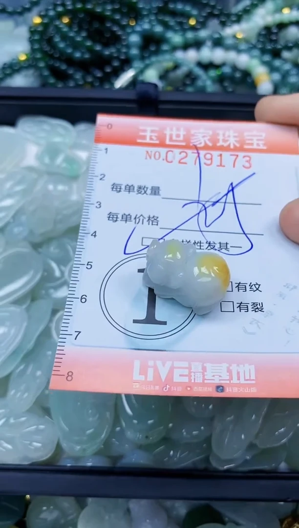 翡翠未镶嵌颈饰闪购0279173多样性发其一