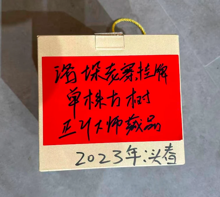 龙园号（2023年  洛垛老寨挂牌单株古树  500g）散茶普洱