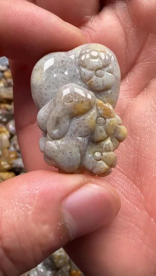 【闪购商品】硅化珊瑚（珊瑚玉）颈饰未镶嵌069