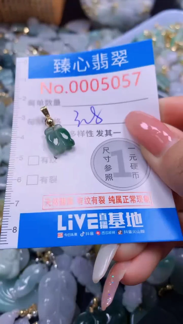 翡翠未镶嵌颈饰5057