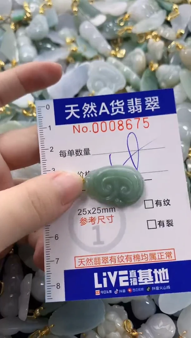 颈饰未镶嵌翡翠天然A货翡翠