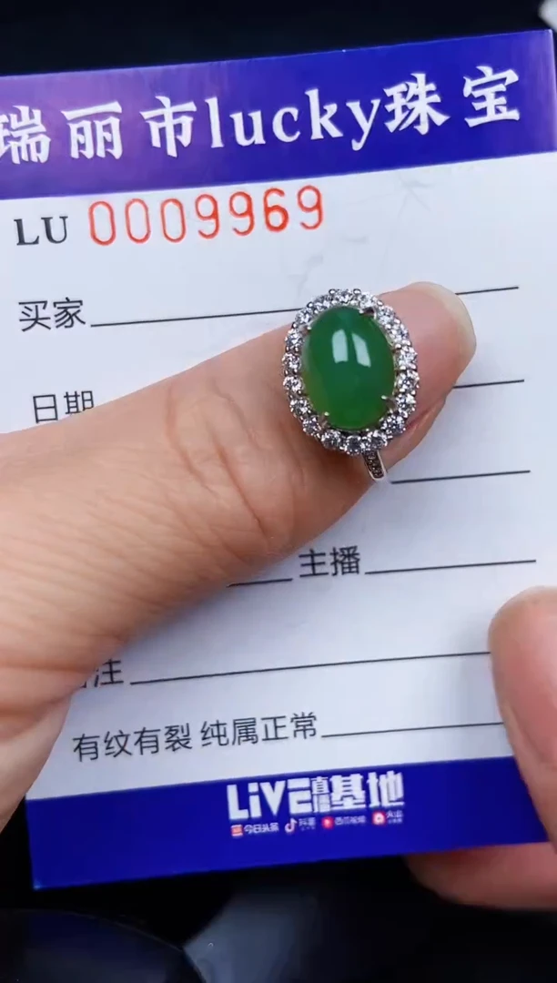 翡翠银S925镶嵌颈饰9969