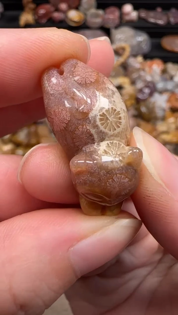 硅化珊瑚（珊瑚玉）未镶嵌颈饰695