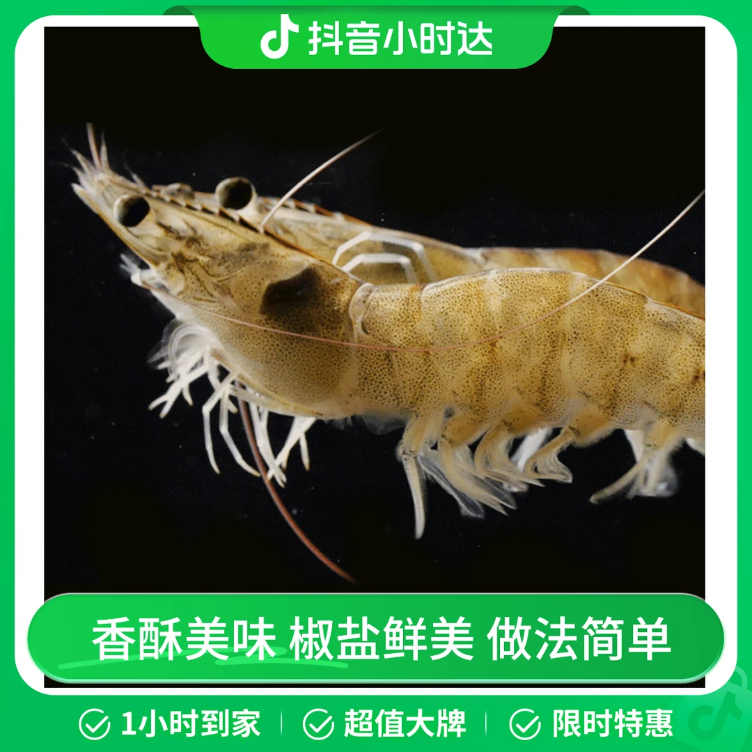 基围虾 约500g